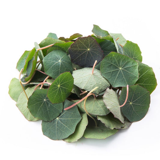 Nasturtium Leaves Only (No Stems) (1oz) - TUESDAY DELIVERY