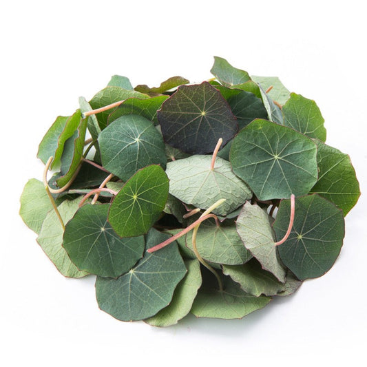 Nasturtium Leaves Only (No Stems) (1oz) - FRIDAY DELIVERY