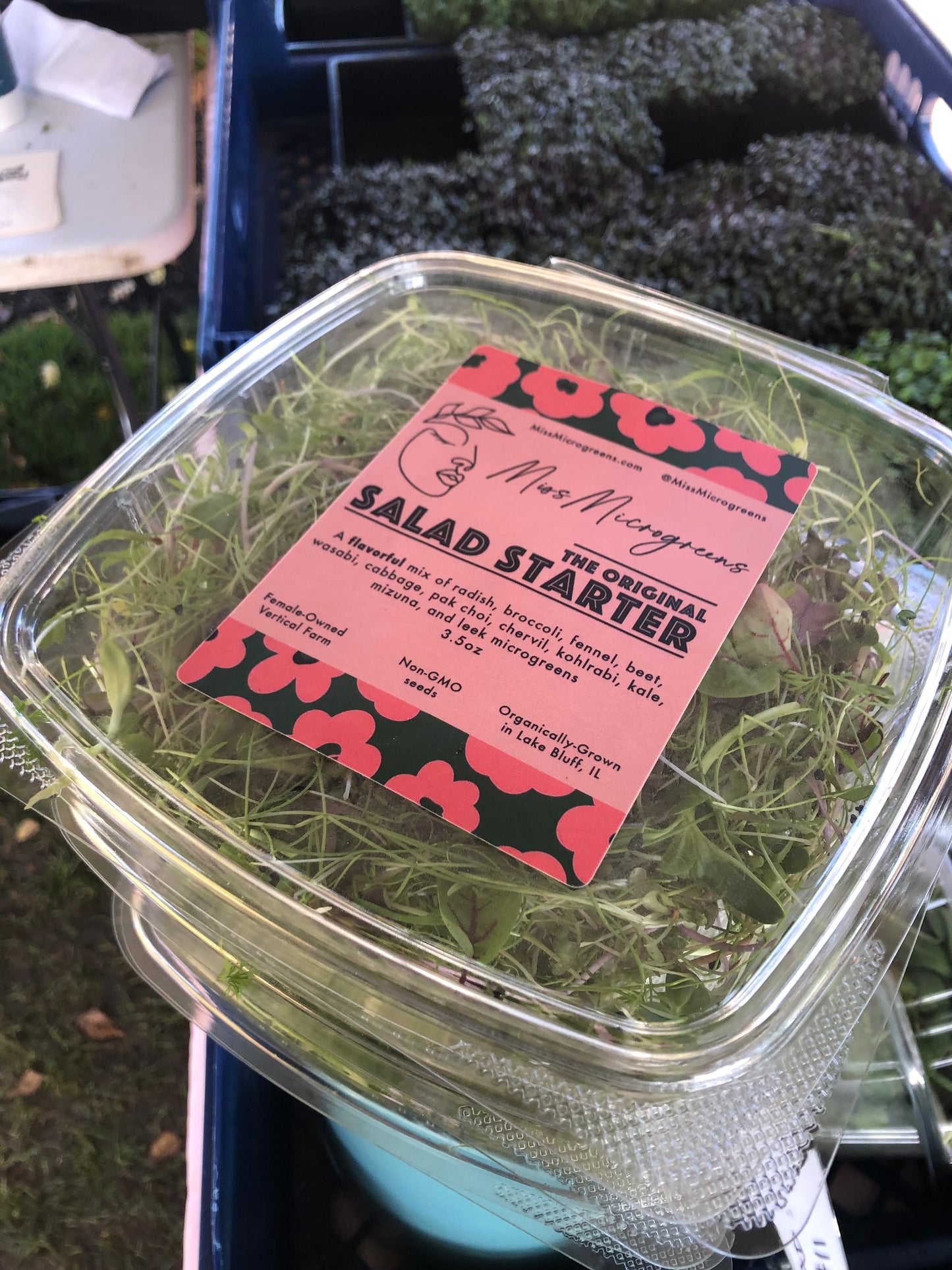 12 Deliveries - Salad Starter Mix